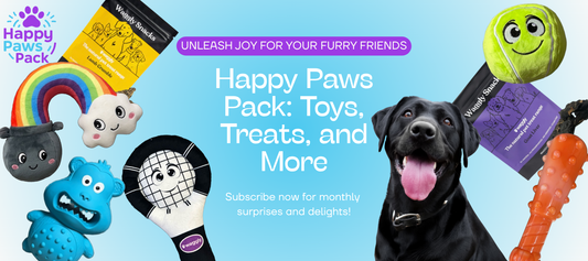 Australian dog subscription box with toys, treats, and happy Labrador – Happy Paws Pack