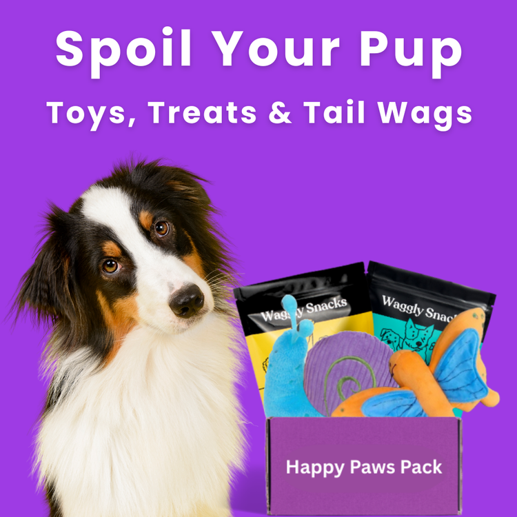 Prepaid dog toy and treat box with double box offer for 6 month plans