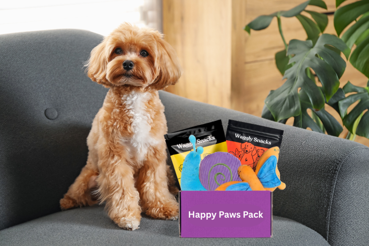 Toys & Treat Box