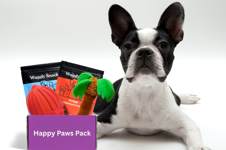 Happy Paws Boxes