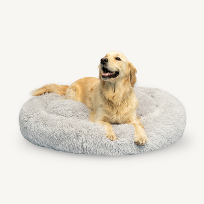 Dog lying on a fluffy gray pet bed against a white background