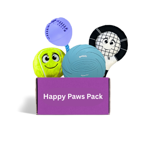 Happy Paws Playful Paws Toy Box – active and plush dog toys