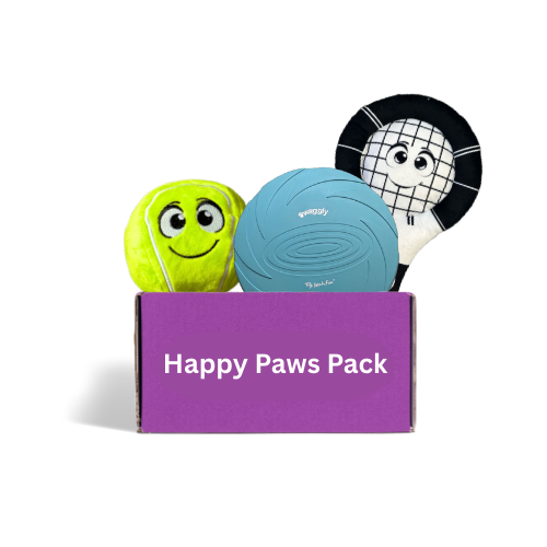 Happy Paws Active & Cozy Toy Box