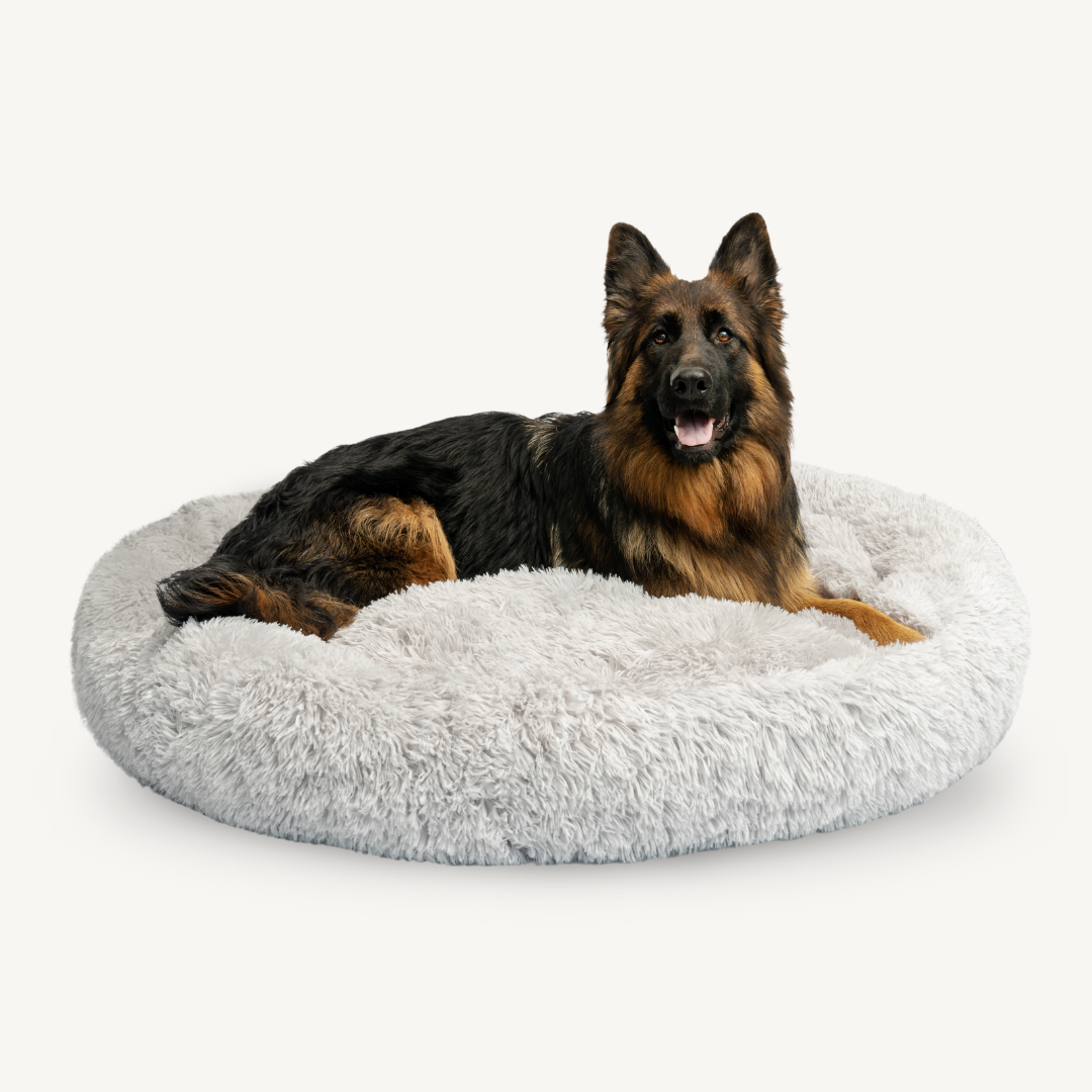Dog lying on a fluffy gray pet bed against a white background