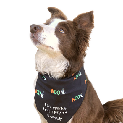 Halloween Bandana