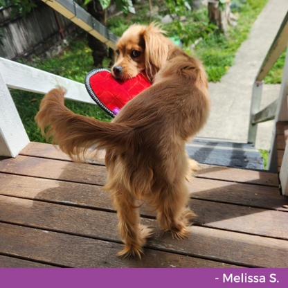 Waggly Duraplay Heart Dog Toy