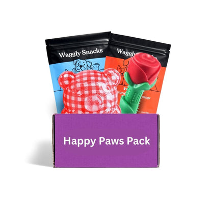 Active dog box Australia upgrade - Love themed durable toys and treats for high-energy dogs
