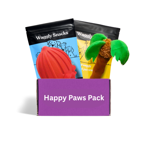 Happy Paws Active Box