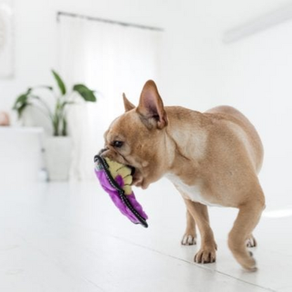 Outward Hound Tough Seamz Cobra Dog Toy