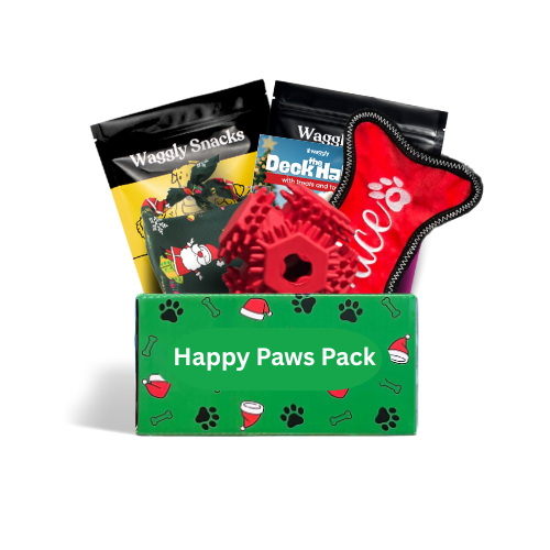 Happy Paws Howl-iday Bounce, Play & Fetch Box - Christmas active toys and treats
