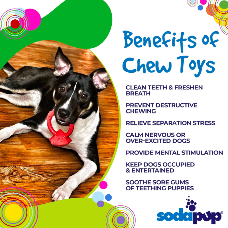 SodaPup Nylon Diamond Ring Power Chewer Toy For Dogs