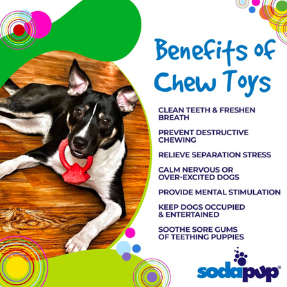 SodaPup Nylon Diamond Ring Power Chewer Toy For Dogs