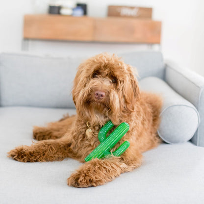 Zippy Paws ZippyTuff - Cactus Dog Toy