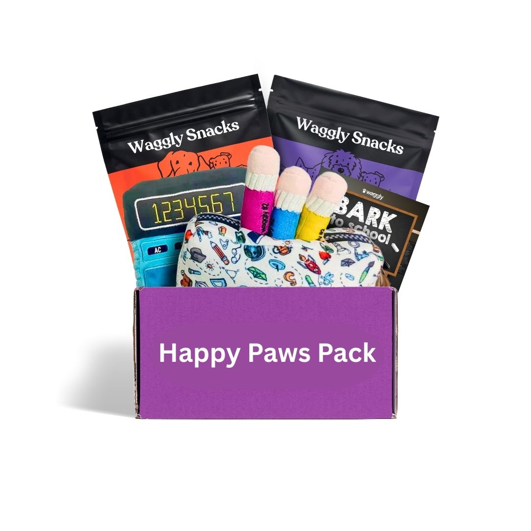 Dog toy and treat box Australia - Happy Paws Original Box with plush toys and healthy treats