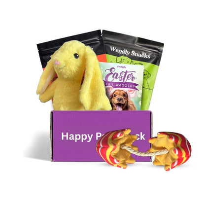 Dog toy and treat box Australia themed plush toys for cuddles and play