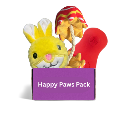 Happy Paws Active & Cozy Toy Box