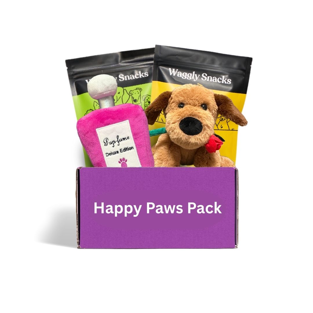 Dog toy and treat box Australia Happy Paws Original Box