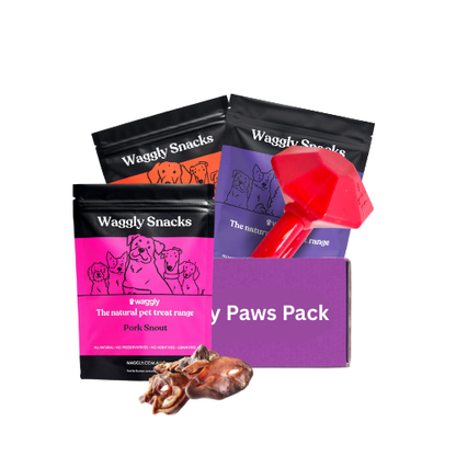 Happy Paws Power Chewer Box