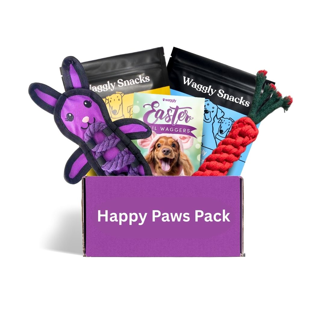 Happy Paws Puppy Box