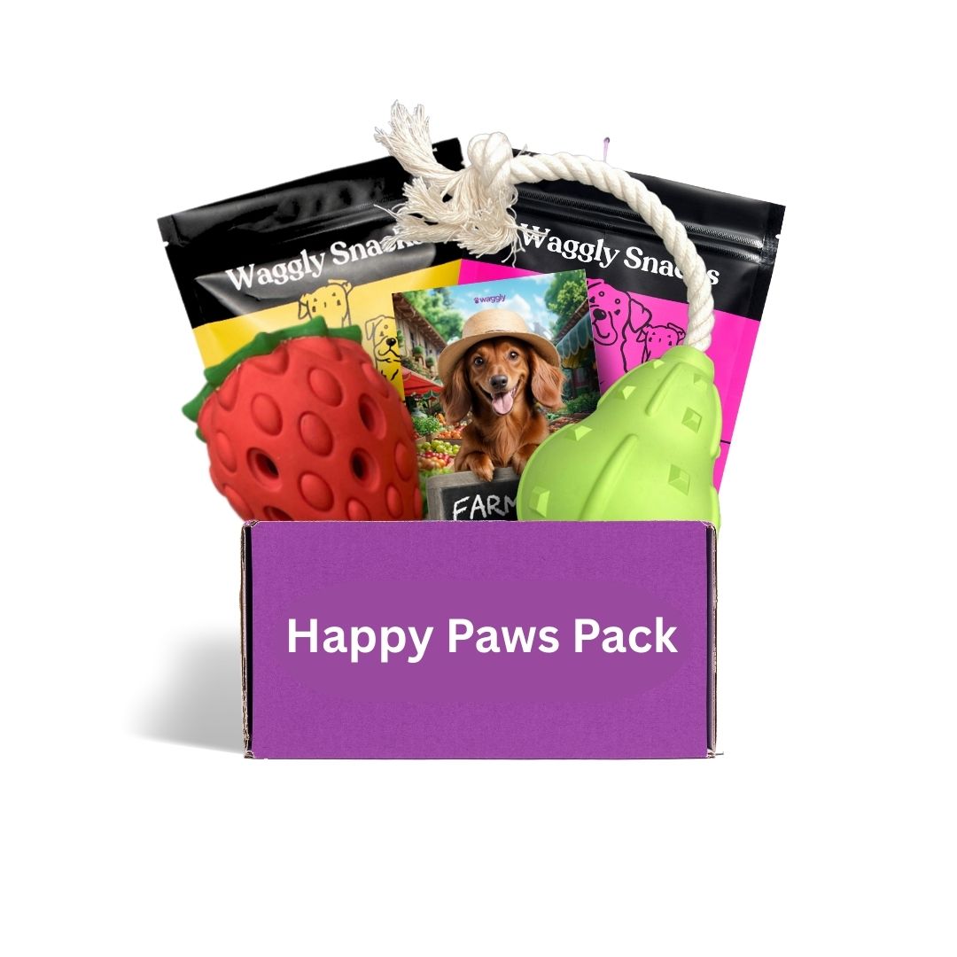 Dog toy and treat box Australia- age-appropriate toys and treats for puppies 8 weeks to 12 months