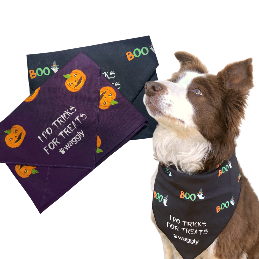 Waggly Halloween Bandana - festive dog bandana for Halloween celebrations
