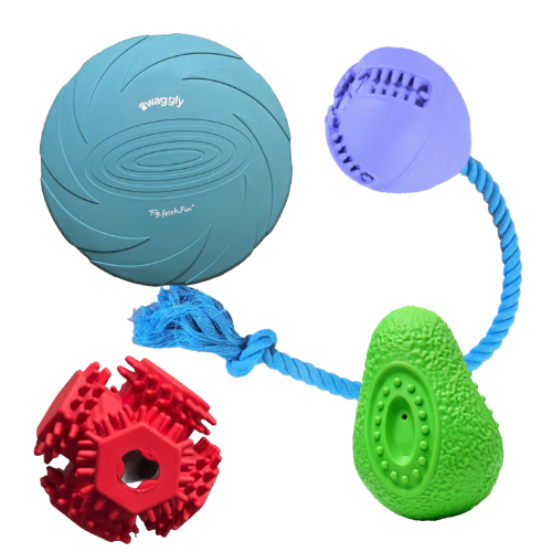 Happy Paws Fetch & Reward Dog Toy Bundle - interactive toy and treat set