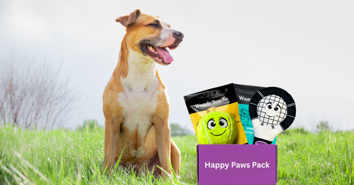 Dog Toy & Treat Boxes Australia | Toys & Treats | Happy Paws Pack