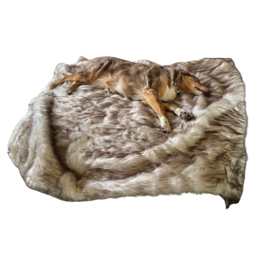 SASH Deluxe Dog Throw - Archive Collection Ivy - soft pet blanket